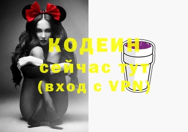 трава Няндома